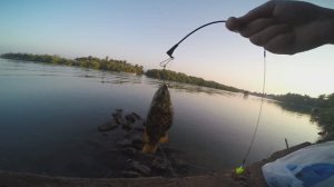 Новогодняя рыбалка в Индии