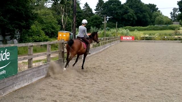 Canter with light seat смотреть онлайн