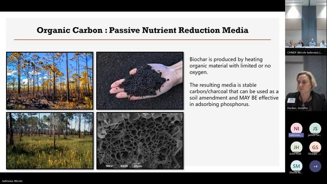 Innovative Nutrient Reduction Projects For Improving Water Quality - Steve Suau