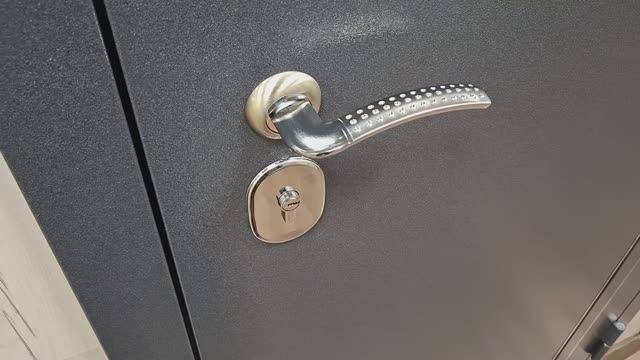 Металлическая дверь F-5