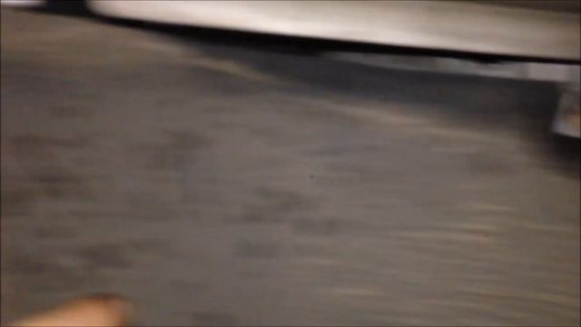 BMW E46: Tree Growing and Dust behind Wheel Arch Liners! смотреть онлайн