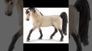 Клип про лошадей Шляйх и не Только мечта￼￼