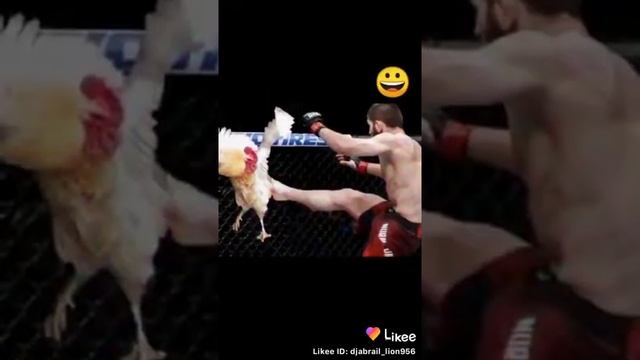 Хабиб vs Петух СЫЛНЕЙШЫХ БОЙ смотреть онлайн