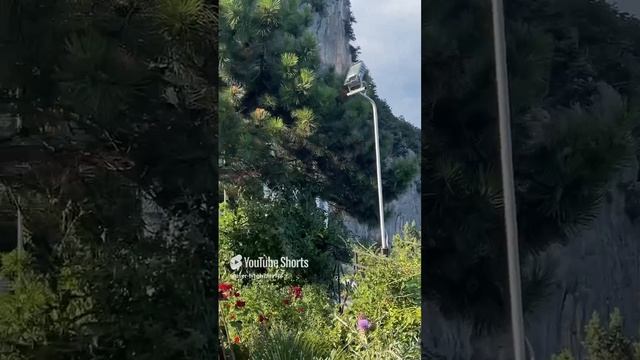 Красивый вид смотреть онлайн