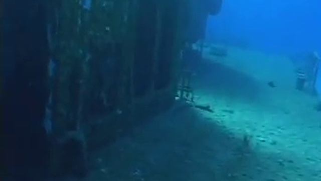 Diving in Cayman Brac 2 смотреть онлайн