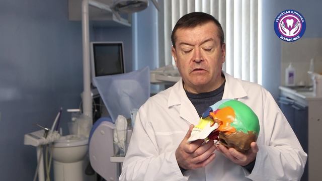 Чем занимается врач гнатолог? Врач-гнатолог Александр Хамчишкин Липецк смотреть онлайн