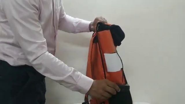SaniGo UV-C Disinfectant Delivery Bag