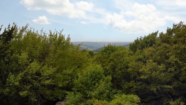 This Is Zippo смотреть онлайн