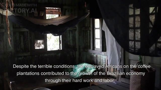 Coffee Plantations and Slavery in Brazil смотреть онлайн