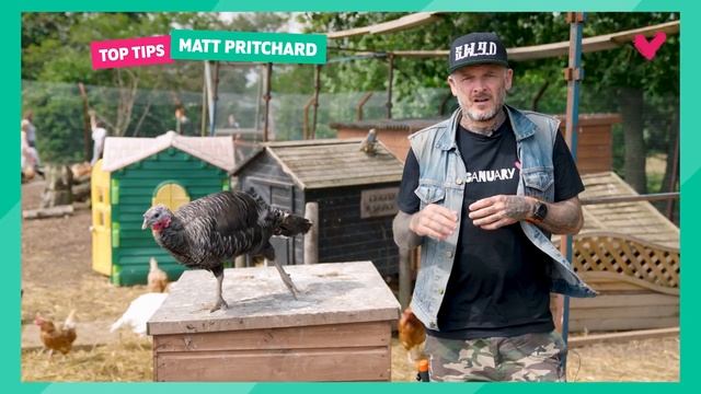 Matt Pritchard's top tip! ✨ смотреть онлайн