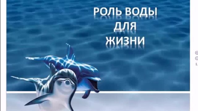 Skinny Body Care Скинни Файбер капсулы для похудения смотреть онлайн