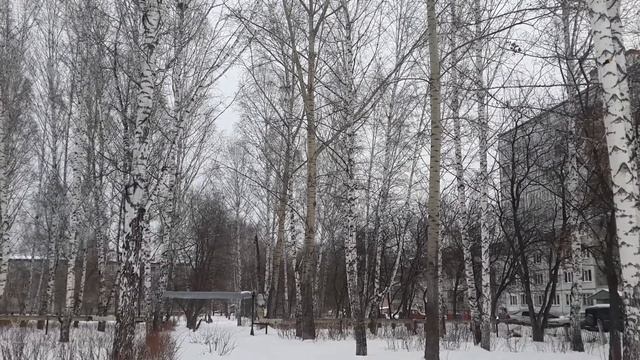 "Птичий базар" смотреть онлайн