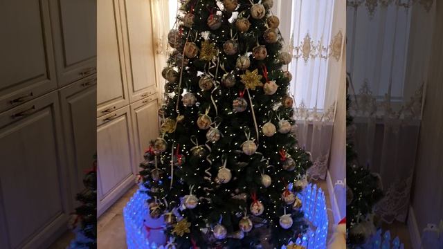 Новый год 2025г