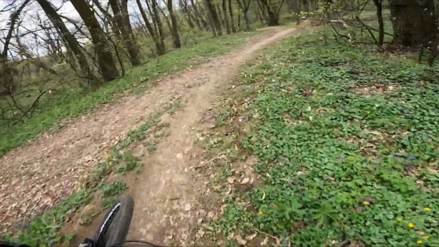 POČETAK SEZONE!!! (Košutnjak BikePark) смотреть онлайн