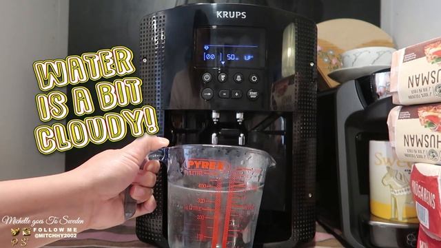 CLEAN & DESCALE KRUPS PISA EA8100 | INFLUENSTER | VOXBOX🇸🇪