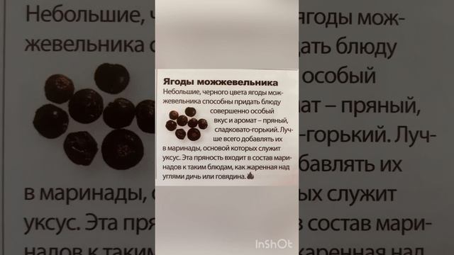 Пряности в кулинарии:Ягоды можжевельника. смотреть онлайн