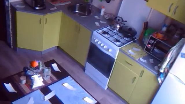 Тайная жизнь нашего животного:) смотреть онлайн