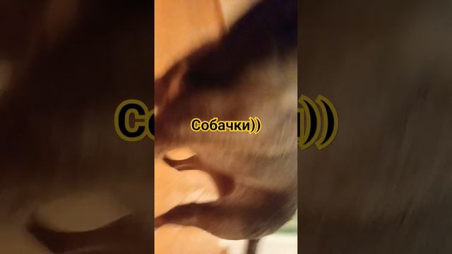 мои любимые смотреть онлайн