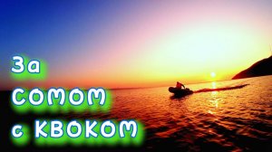 Рыбалка на КВОК. Сом 14кг. НАКОНЕЦ-ТО!!!