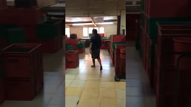 Производство чая.(часть2) смотреть онлайн