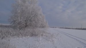 Охота на зайца в морозный день.