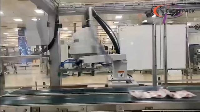 Scara Robot Case Packer for Flow-wrap Packs | Clearpack смотреть онлайн