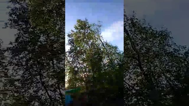 ЧАЙ БУДЕШЬ?! ИЛИ НЕТ?! смотреть онлайн