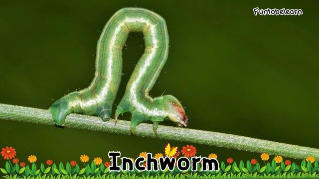 The Farm Animals Alphabet Song - Animals Song For Children #animalsounds #animalsounds #abcd