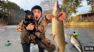 Ловля щук монстров на жерлицы и на хапуги 24-Часа