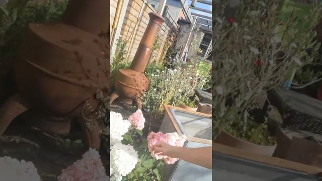 Gardening with Tan - Aug update смотреть онлайн