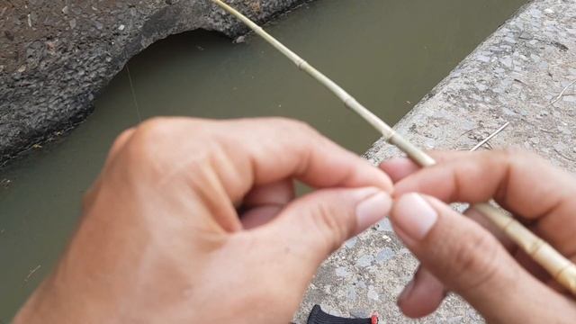 Micro Fishing Tanago Style With Bamboo Tiny Rod