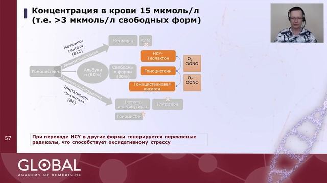 Токсический эффект от накопления гомоцистеина смотреть онлайн