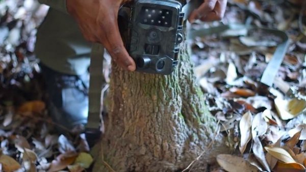 Camera de Trilha PR700 - Camera para caça - camera com infravermelho - camera para segurança