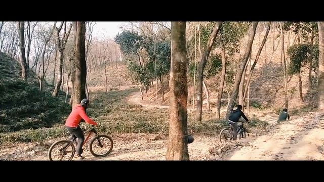 Cycling Inside The Tea Garden With Friends | Lakkatura Tea Garden Sylhet #jusedahmad #jused #cyclin смотреть онлайн