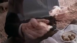 Enigma - Return To Innocence (Official Video)