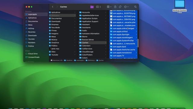 SEU MAC LIMPO E MAIS RÁPIDO - COMO LIMPAR O CACHE DO MAC - PASSO A PASSO FÁCIL ATÉ PARA INICIANTES смотреть онлайн