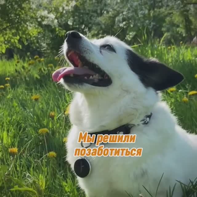 GPS трекер для поиска смотреть онлайн