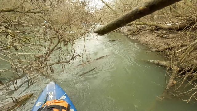 SUP прогулка по Северке 12 января 2025 смотреть онлайн