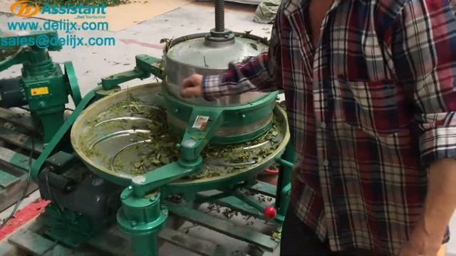 Black tea green tea oolong tea kneading machine tea leaf rolling roller machine DL-6CRT-35 смотреть онлайн