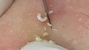 العناية بالبشرة الفاخرة اليومية للوجه مع وكالة ناسا #NASA6822