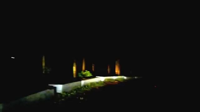 Tiger in vaalparai,tamilnadu смотреть онлайн