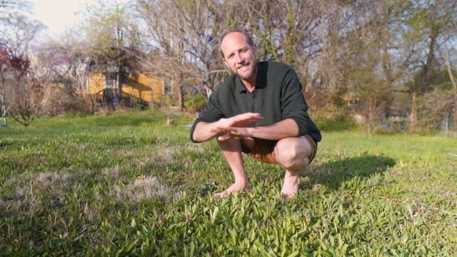 Wild Foods for Spring Foraging that are Free and Easy to Find! смотреть онлайн