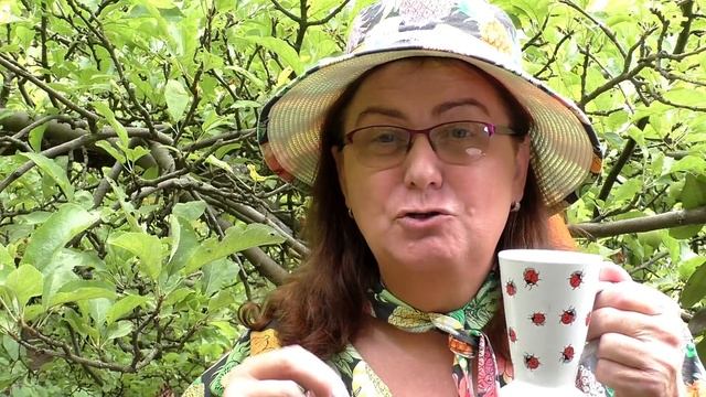 TEĎ * ZDRAVÉ KAFE (Healthy coffee) смотреть онлайн