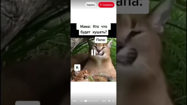 шлепа смотреть онлайн