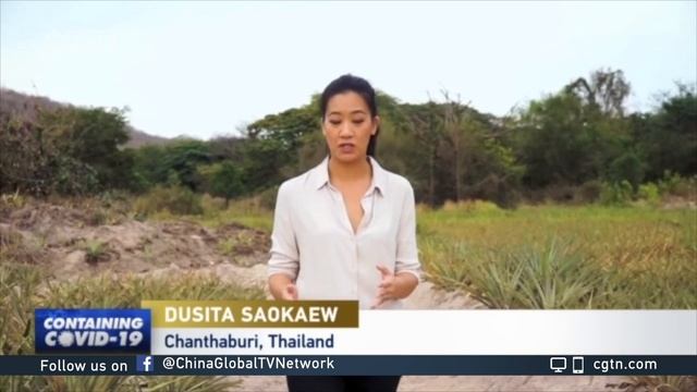 Thailand sees food security threat amid lockdown смотреть онлайн