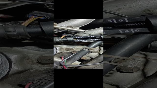 Нормальная катушка