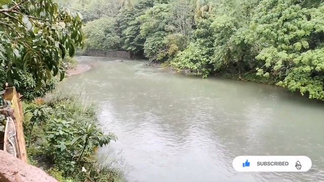 Princess Ness Hotel and Resort Real Quezon | Massage and Spa | Event Place смотреть онлайн