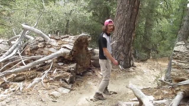 tripliss - Colossal Collage (raf giraffe_sentient sentiments) смотреть онлайн