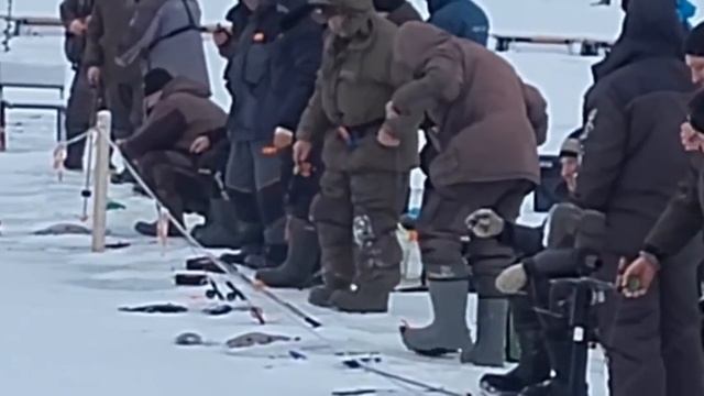 Запуск Спорт зона 12.01.25 смотреть онлайн