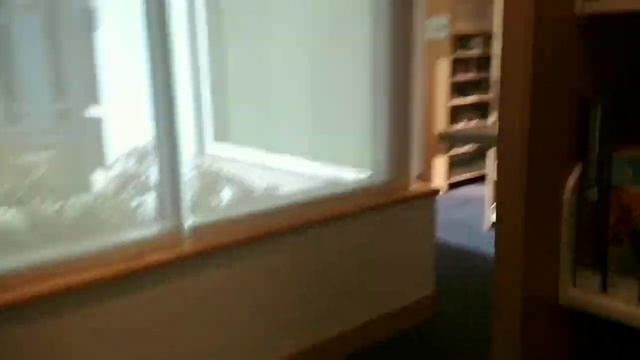 Публичные библиотеки Санта- Моники и Шерман - Окса смотреть онлайн